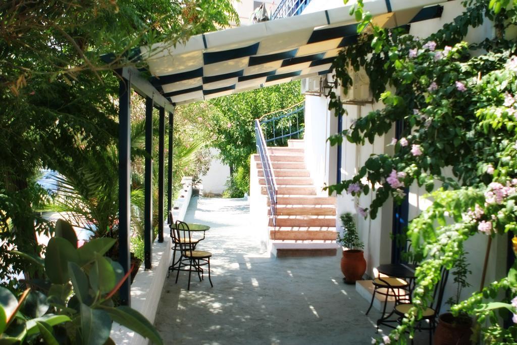 Plumeria Flowery Agios Kirykos Exterior foto